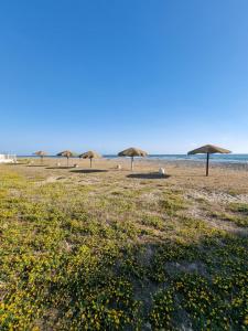 Playa de o cerca de este hotel