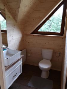 a bathroom with a toilet and a sink and a window at DOMEK POD LIMBAMI IV in Kluszkowce