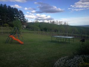 a ping pong table in a yard with a table and a ping at Bottyahát guesthouse in Rezi
