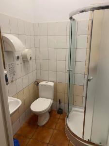 a small bathroom with a toilet and a shower at 50 People Apartment in Krakow