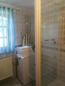 a laundry room with a refrigerator and a shower at Bottyahát guesthouse in Rezi