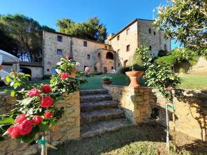 pared de piedra con escalera frente a un edificio en Il Moreto, en Casale Marittimo