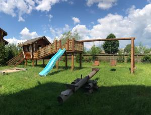 a playground with a slide in the grass at Cottage Radomyshl' in Radomyshlʼ