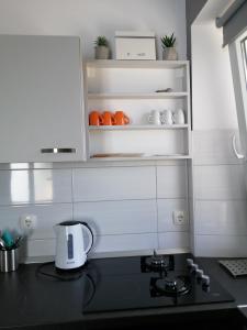 Кухня или мини-кухня в Apartment "MANNA
