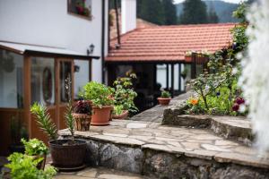 Gallery image of Guest House Rossy in Trigrad