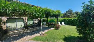 un jardín con un pequeño árbol frente a una casa en Casas da Tapada Briteiros Casa Do Espigueiro, en Guimarães