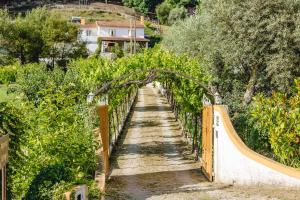 a path through a vineyard with a wooden archway at Magnolias Cottage with Jacuzzi and mountain view in Lousã