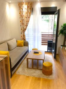 een woonkamer met een bank en een salontafel bij s23 green in Zlatibor