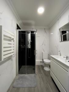 uma casa de banho com um chuveiro, um WC e um lavatório. em Beija Mar em Vila Franca do Campo