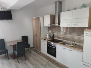 Kuchyň nebo kuchyňský kout v ubytování Apartments Mladenka