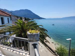 Hrvatska, BRIST, Apartments Mladenka