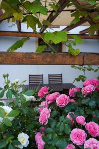 A garden outside Kellerstöckl Weinberg