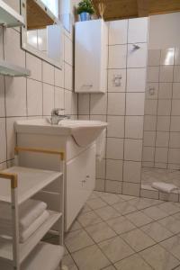 La salle de bains blanche est pourvue d'un lavabo et d'une douche. dans l'établissement Kellerstöckl Weinberg, à Eisenberg an der Pinka