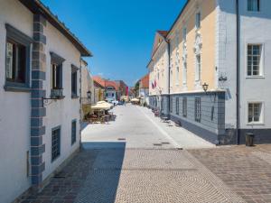Gallery image of Vila Radolca apartments & rooms in Radovljica