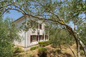 a white house with red shuttered windows and trees at Villa Marcela in Preko