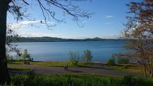 a person walking down a road next to a lake at Ferienwohnung zum See in Görlitz