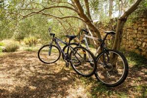 two bikes are parked next to a tree at Villa Marcela in Preko