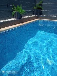 普罗塔拉斯Arcadia close的相册照片