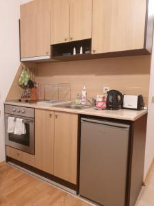 a kitchen with a sink and a dishwasher at Apartman Maxim Lux in Razlog