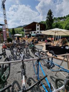 Rowery dostępne w obiekcie SKILL Mountain Lodge - Ski und Bike Hostel im Sommer mit JOKER CARD lub w pobliżu