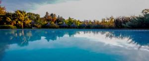 una gran piscina de agua azul con árboles en el fondo en La Casa de los Limoneros, en Colonia del Sacramento