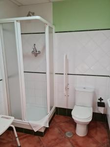 a bathroom with a toilet and a shower at Hotel Plateros in Córdoba