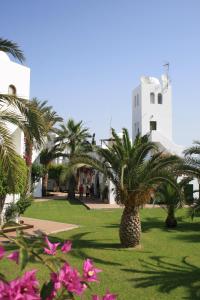 a building with palm trees and pink flowers in a park at Apartamentos Torrelaguna in Vera