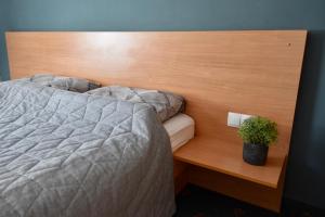 sypialnia z łóżkiem i doniczką w obiekcie Yako Apartment - Wagrain Center w mieście Wagrain