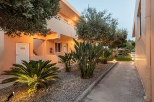 a courtyard with plants in front of a building at Cirillo Family Hotel-Christinas Studios in Mastihari