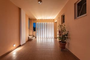 a hallway with a potted plant in a building at Cirillo Family Hotel-Christinas Studios in Mastihari
