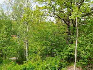 2 person holiday home in HANINGE في هانينيه: غابة مليئة بالكثير من الأشجار الخضراء