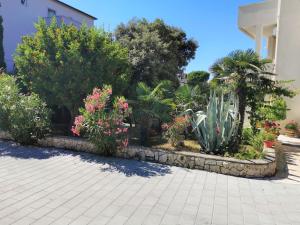 a garden with plants and flowers on a sidewalk at Lenka Apartments II in Novalja