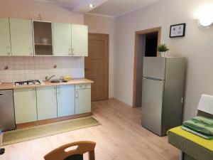 Kuchyň nebo kuchyňský kout v ubytování Lenka Apartments I