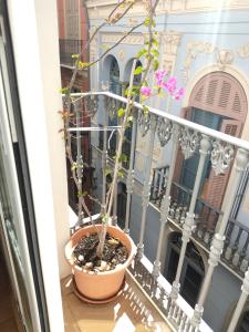 Ein Balkon oder eine Terrasse in der Unterkunft Málaga Centro