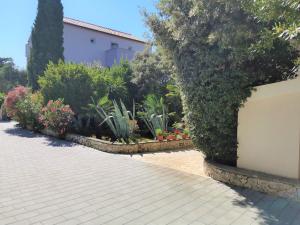 Zahrada ubytování Lenka Apartments I
