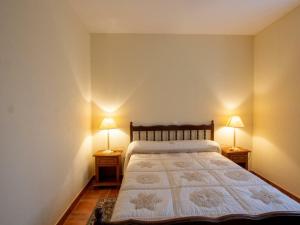 um quarto com uma cama com dois candeeiros em duas mesas em Gîte Tursac, 4 pièces, 6 personnes - FR-1-616-151 em Tursac