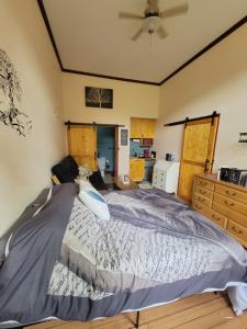 1 dormitorio con 1 cama grande y ventilador de techo en The Colburn Schoolhouse - Literature Suite, en Sandpoint