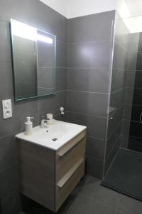 La salle de bains est pourvue d'un lavabo, d'un miroir et d'une douche. dans l'établissement F3 terrasse Porto Vecchio CENTRE, à Porto-Vecchio
