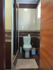 a bathroom with a toilet in a bathroom stall at La casa di Tsabika in Koskinou