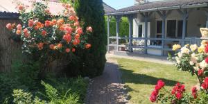 Vonkajšia záhrada v ubytovaní Villa Harmónia