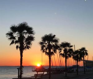 a group of palm trees on a beach with the sunset at HOME from HOME GUEST HOUSE in Rochford