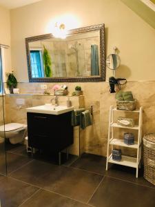 a bathroom with a sink and a mirror and a toilet at Ferienwohnung A im Ferienhaus Antika in Ratzeburg