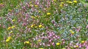 Fotografie z fotogalerie ubytování Brandtnerhof Betriebe v destinaci Waidring