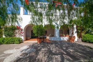 a house with trees and plants in a yard at Hotel Villa Durrueli Resort & Spa in Ischia