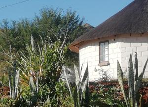a white building with a thatched roof in a garden at Slubani in Eshowe