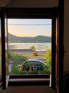 Priroda u blizini apartmana +9 fotografija