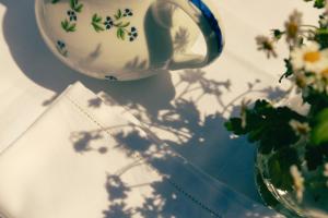 a vase with flowers is sitting next to a vase with a plant at Hotel la Ponche in Saint-Tropez