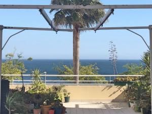 uma vista a partir da varanda de uma casa com uma palmeira em Varandas do Sol em Portimão