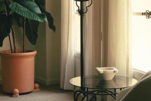 a table with a potted plant and a plant at Hotel la Ponche in Saint-Tropez