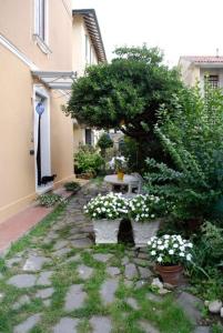Zahrada ubytování Perla B&b
